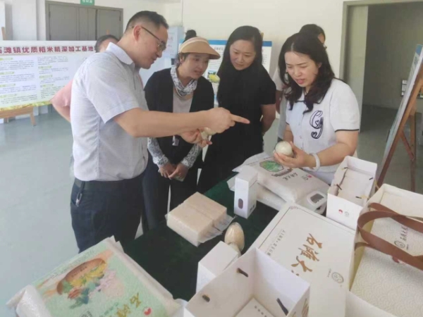 政協委員在石灘鎮調研。石思妮攝