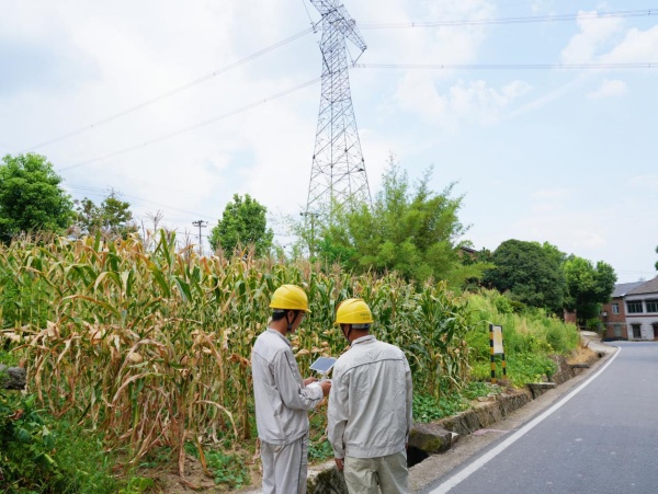 8月5日，國網重慶綦江供電公司員工正使用無人機開展線路巡視工作。袁巧攝
