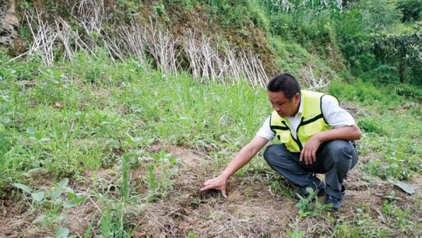 勝地社區3組網格員向業勤開展雨后地災巡查。汪艷虹攝