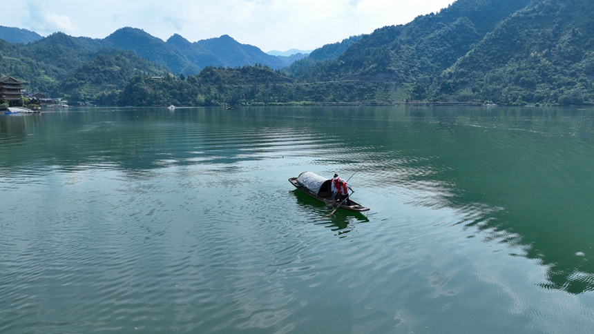 “河小青”志愿者們正在酉水河清漂。邱洪斌攝