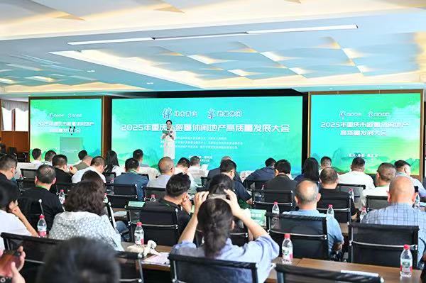 2025年重慶市避暑休閑地產高質量發展大會在豐都縣南天湖舉行。林心雨攝