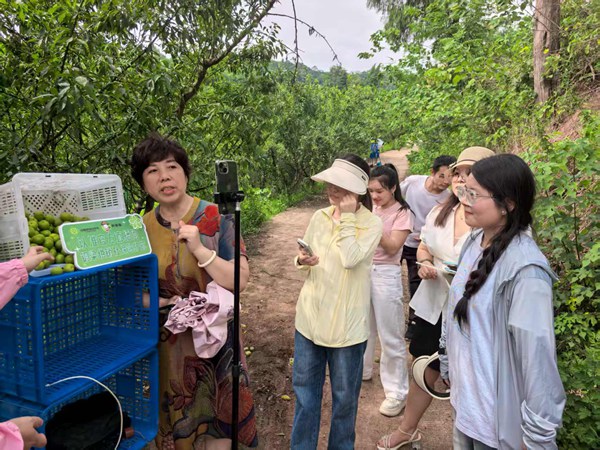 培育本土電商人才。重慶市供銷合作總社供圖