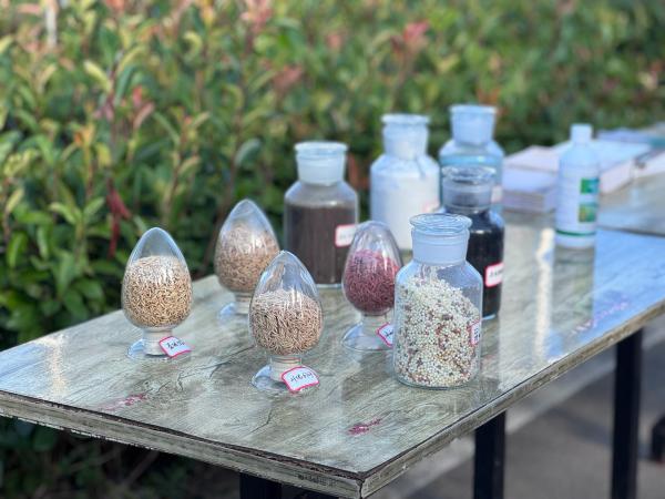 梁平糧油科技小院的選種展示。黃亞輝攝