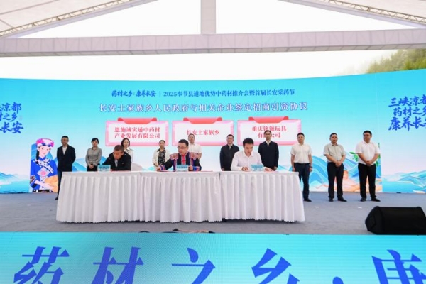 活動現場。主辦方供圖