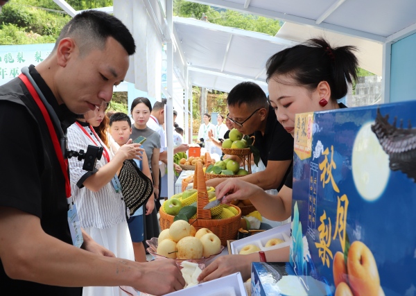 市民品嘗巫山脆梨。巫山縣融媒體中心供圖