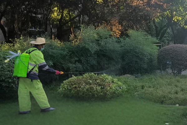 綠化帶等重點區域正在進行消殺作業。杜科攝
