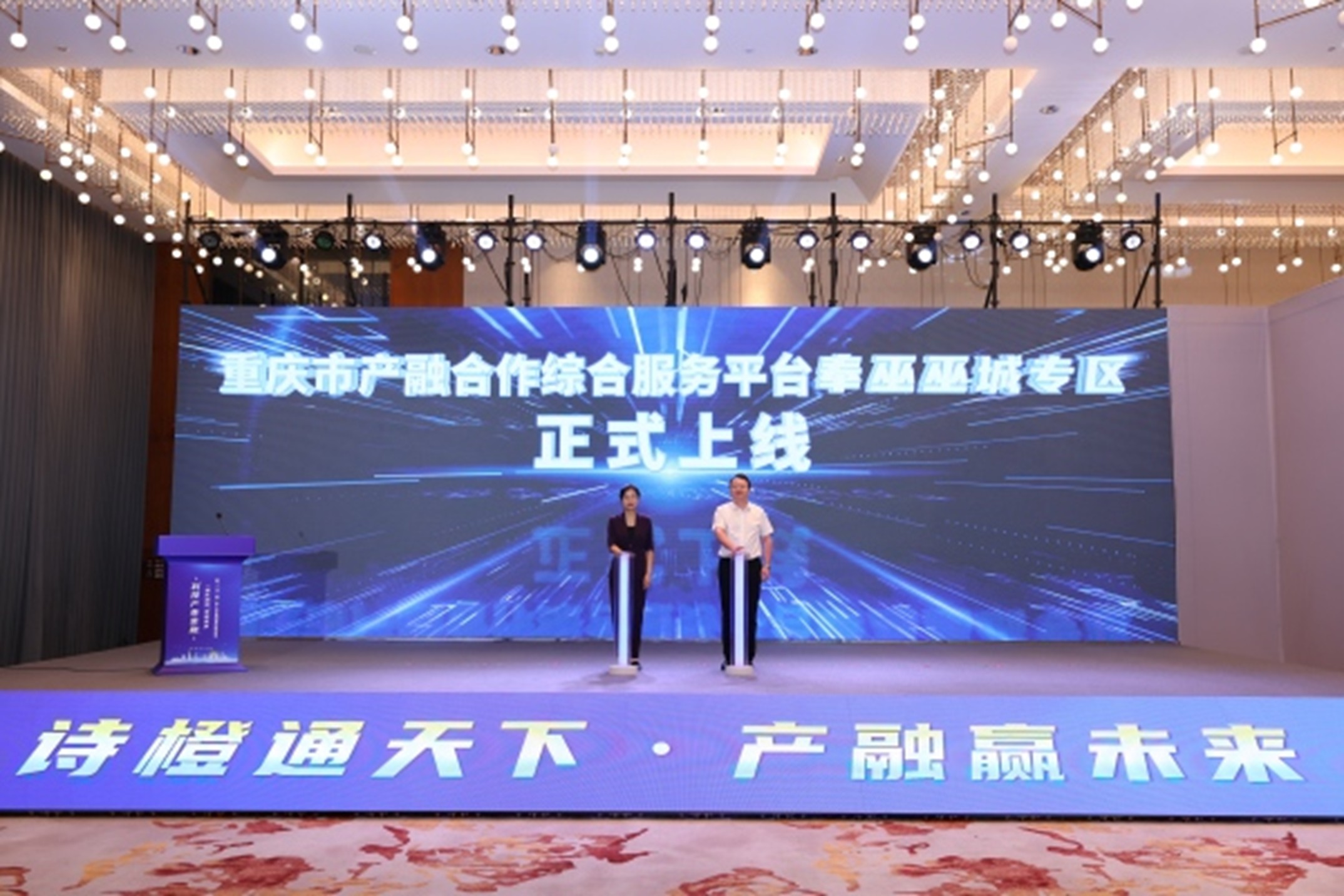 重慶市產融合作綜合服務平臺奉巫巫城專區正式上線。主辦方供圖