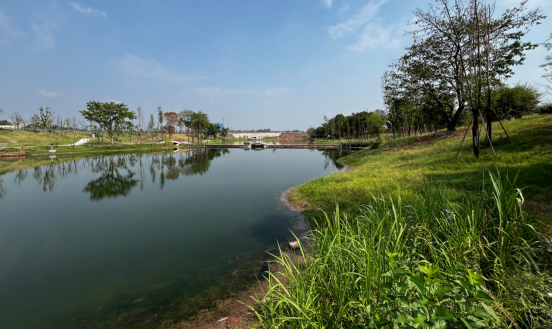 大溪河水系生態修復，重現水碧岸綠風景美。巴福鎮供圖