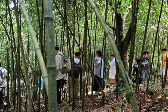 活動現場。主辦方供圖