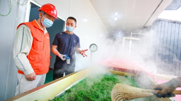 獲獎作品《電力“烤”出花椒香 村民走上致富路》組圖之一。國網重慶市電力公司供圖