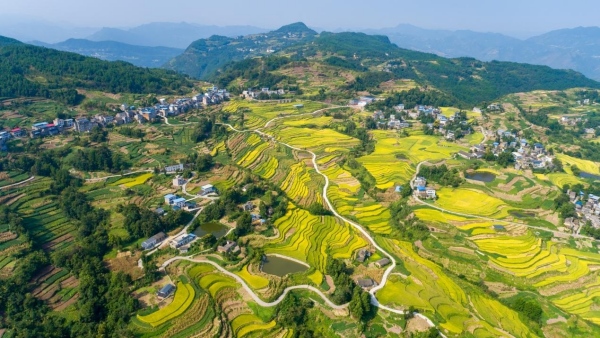 奉節鄉村美景。王傳貴攝