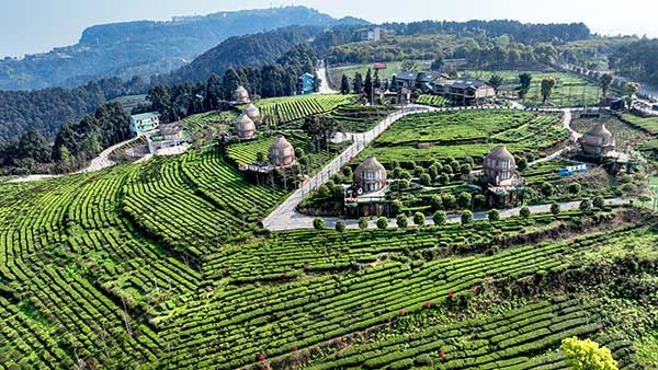 石筍山。工行重慶市分行供圖