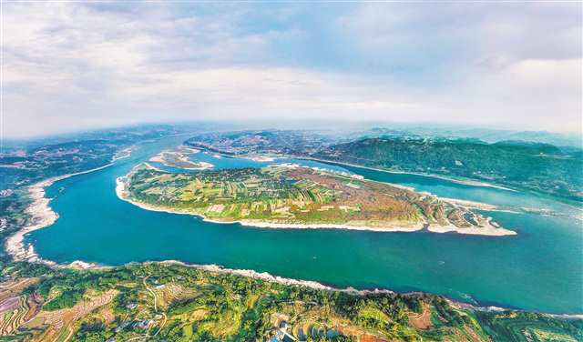 長江入渝第一島中壩島水域，成為多種優質名貴魚類的最適生境。（本報資料圖片）（重慶市珍稀特有魚類國家級自然保護區管理處供圖）