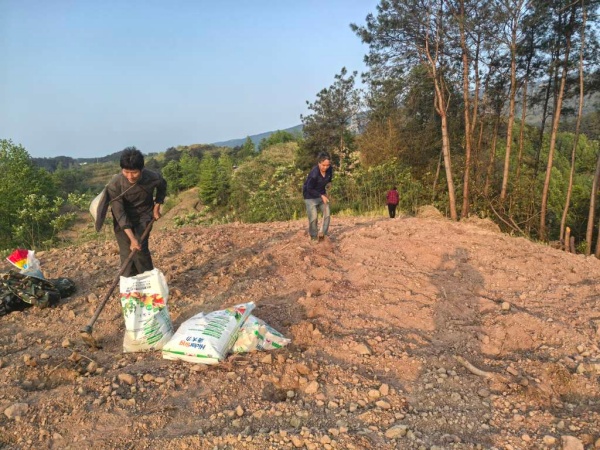 村民正在整治荒地。龔安鵬攝