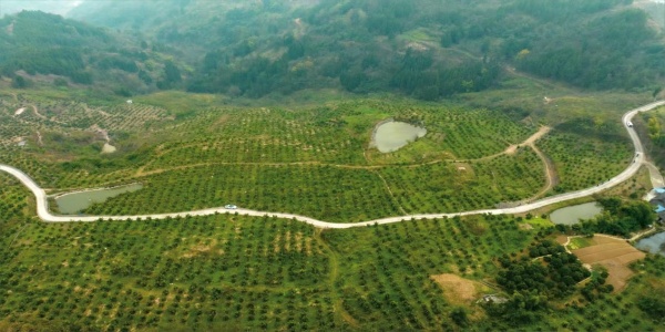 富民村新貌。受訪者供圖