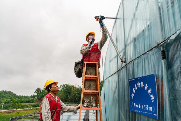 電力人員義務檢查大棚用電設備。國網永川供電公司供圖