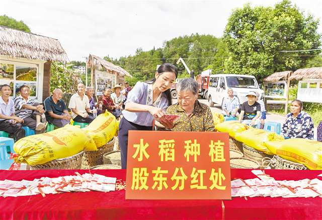 南川：種地有分紅 村民好開心