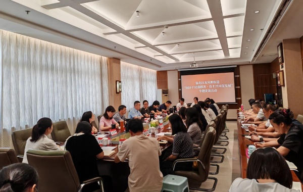 雙鳳橋街道民生項目調研及成果分享交流會現場。田菊俐攝