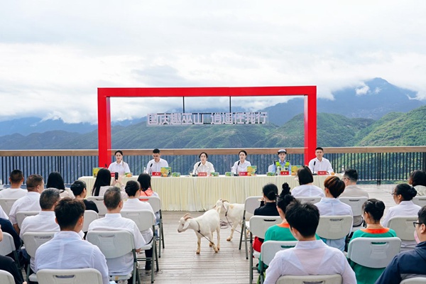 發布會現場。巫山縣文旅委供圖