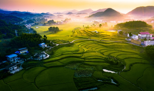 巴渝和美鄉村，一片豐收景象。重慶市農業農村委供圖