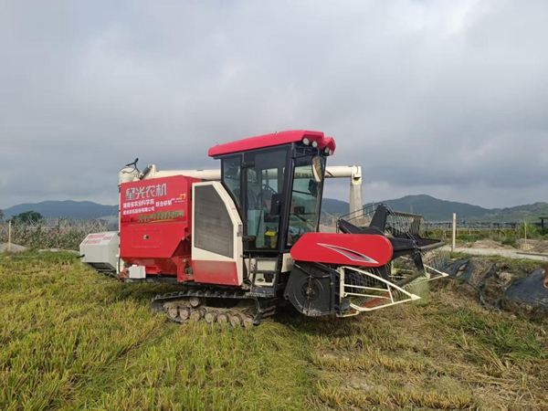 圖為在江津區白沙鎮，收割機正在田間作業。受訪企業供圖