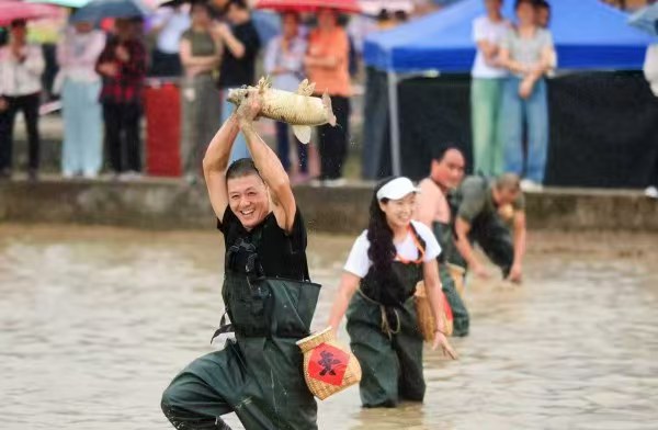 稻田摸魚比賽現場?；顒又鬓k方供圖