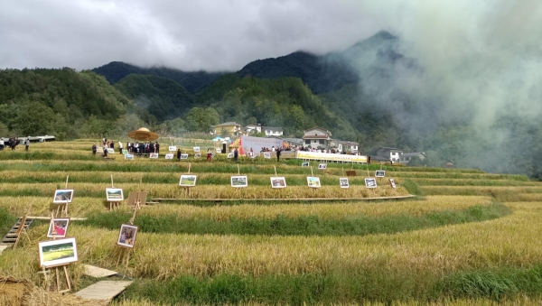 “全民曬豐收”攝影展。羅意攝