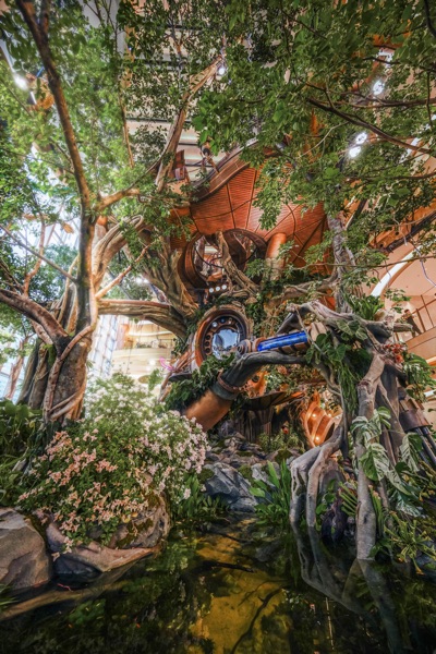 “世界樹”實景圖。受訪者供圖