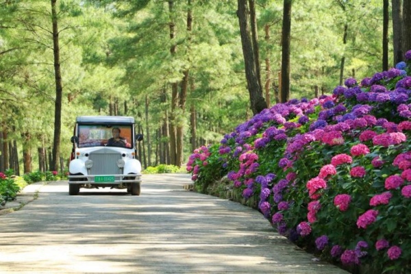 大木花谷·林下花園。涪陵區融媒體中心供圖