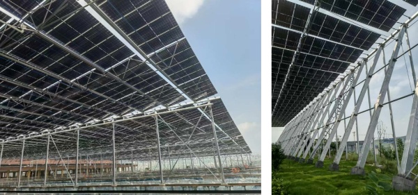 重慶悅來水廠三期分布式光伏發電項目現場實景。重慶設計集團有限公司市政設計研究院供圖