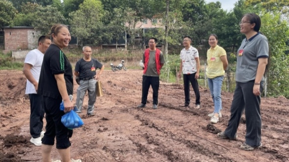 人大代表緊盯全過程實施。巴南區融媒體中心供圖