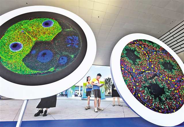 十月十日，中國重慶·科學會堂，中國干細胞第十五屆年會科普活動現場，學生正在參觀干細胞主題科普展。首席記者 龍帆 攝\視覺重慶