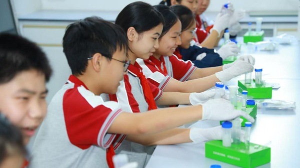 金鳳實驗學校學生正在做實驗。張婷攝