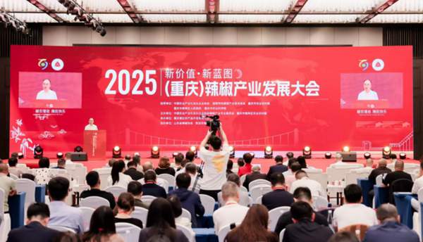 活動現場。主辦方供圖