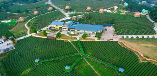 伴山茶宿。周興健攝