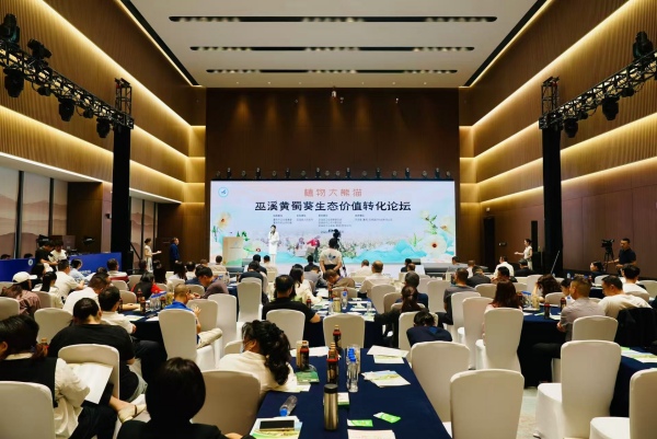 活動現場。主辦方供圖