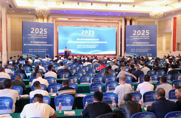 第三屆中國蛋雞重慶論壇舉行。胥世鵬攝