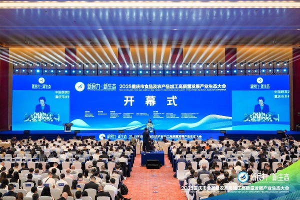 開幕式現場圖。主辦方供圖