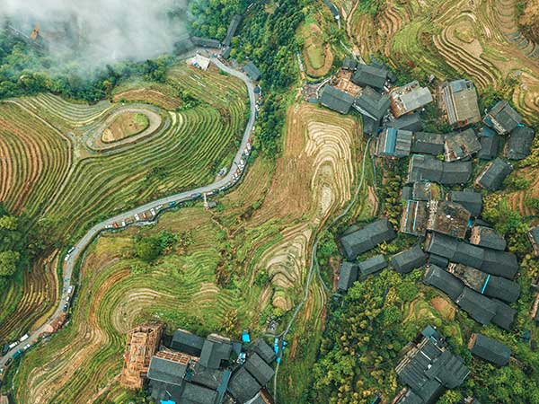 助力鄉村振興。廣發銀行重慶分行供圖