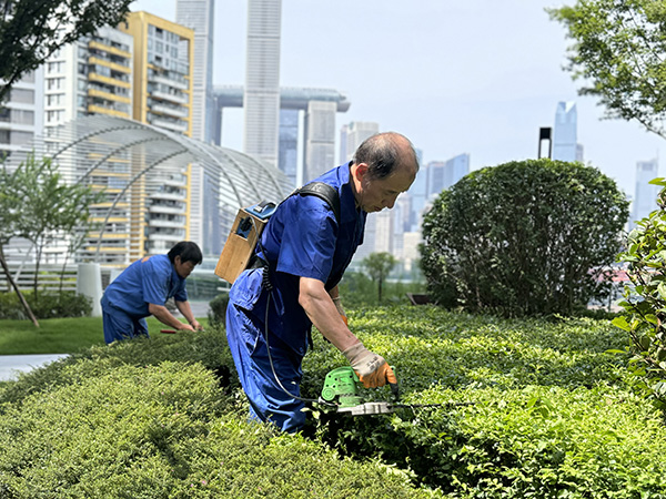 園區綠化養護。招商積余重慶公司供圖