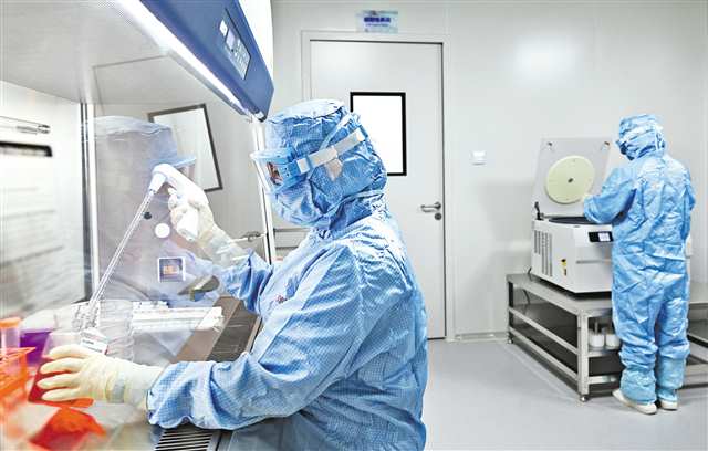 十月二十二日，金鳳實驗室，金鳳干細胞中心科研人員正在做實驗。首席記者 龍帆 攝\視覺重慶