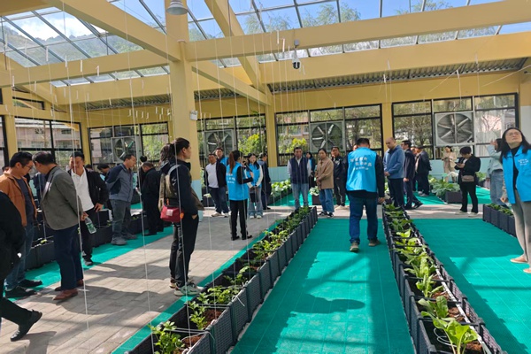 活動現場。主辦方供圖