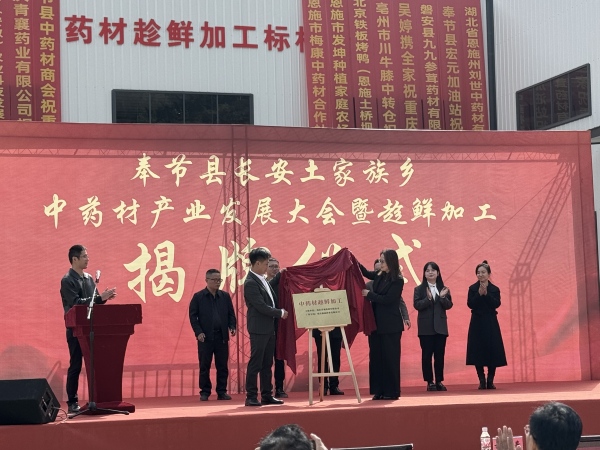 活動現場。主辦方供圖