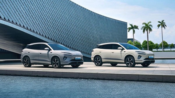 海獅06。受訪者供圖