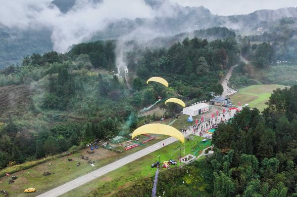 往屆比賽資料圖。安瀾鎮供圖