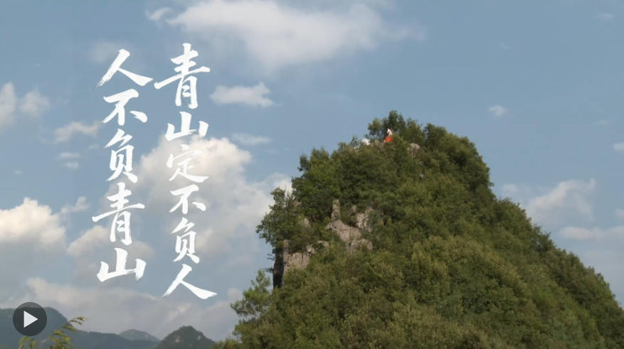 崖柏重生，生生不息