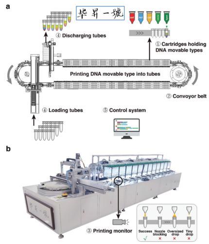“畢昇一號”全自動的DNA活字存儲噴墨打印機示意圖。西研院供圖