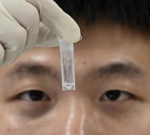 近日，位于兩江新區的中科計算技術西部研究院，小試管中裝的打印完成的液體“成品”DNA?？纱鎯ξ谋?、圖像、音頻和視頻等形式的數據。記者 張錦輝 攝/視覺重慶