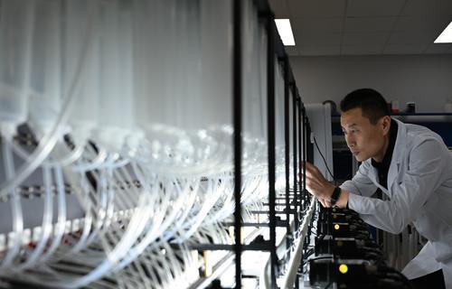 近日，位于兩江新區的中科計算技術西部研究院，西研院科研人員楊東鑫正在關注DNA活字存儲噴墨打印機打印過程。記者 張錦輝 攝/視覺重慶